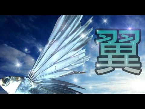 トビウオ ~種類と特徴~