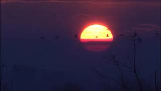 TERMÉSZETVÉDELEM HATÁROK NÉLKÜL - 6. adás