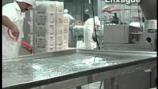 Procedimentos Padrao de Higiene Operacional - SSOP