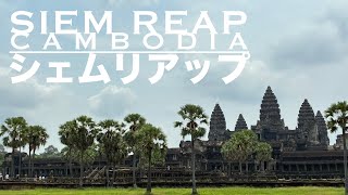 シェムリアップ観光(ロリュオス遺跡群→プリアコー→バコン→ロレイ→プレループ→東メボン→タソム→ニャックポアン→プリアカン→アンコールタコス→レッドピアノ→アンコールワット→アンコールトム→帰国)