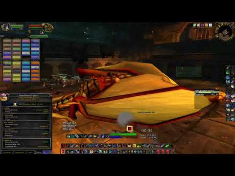 Highlight: Kadet/Cadet from APES - Gehennas First 8/8 BWL pug Raid Leading on Hunter 16th February