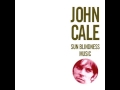 John Cale - The Second Fortress
