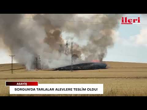 Sorgun'da tarlalar alevlere teslim oldu | İleri Gazetesi