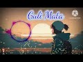 Guli Mata Saad Lamjarred Shreya Ghoshal Jennifer Winget Anshul Garg