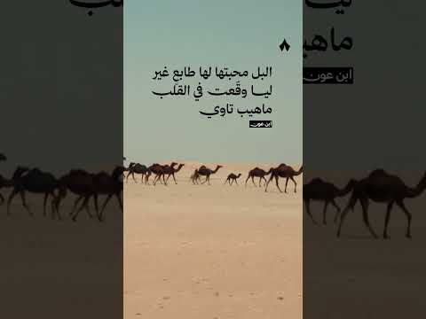 إذاعة ثمانية