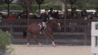 CAROLINE PASSARELLI CAROLINA CHROME 6600 WEF 11 2954