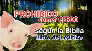 Prohibido comer Cerdo según la Biblia