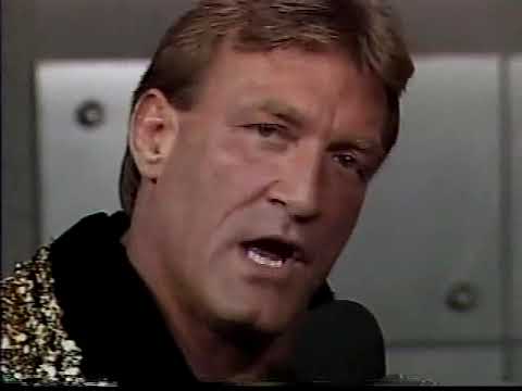Pretty Wonderful (Paul Orndorff Paul Roma) promo on 2 Cold Scorpio Buff Bagwell - 1/8/1994 - WCW