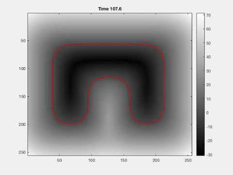 Simulation: Mean curvature flow