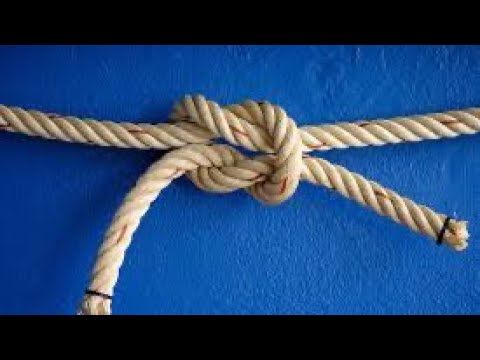 Money Unties - Live Therapy