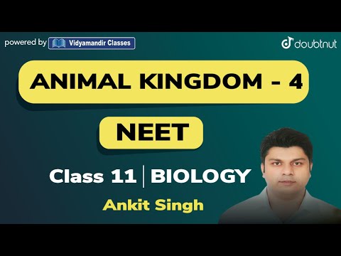 2 PM - CLASS 11 NEET BIOLOGY | ANIMAL KINGDOM  - L4 | ANKIT SINGH | VMC