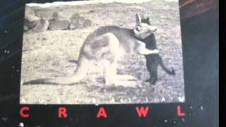 You Told Me,  Australian Crawl