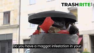 How to Get Rid of Maggots in Trash Cans: Effective Tips and Preventive Measures