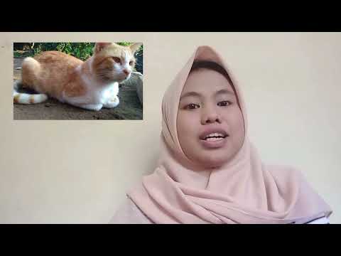 MIDTEST ASSISNMENT_ Afifah Nur`ain_2220305083_Discribing things "my cats"