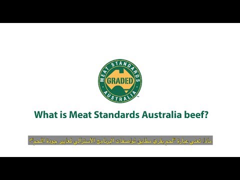 MSA Beef Grading - Arabic