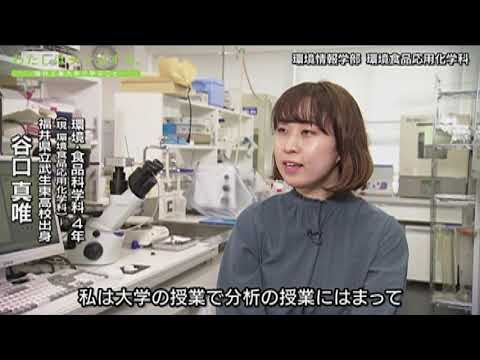 わたしはシンカする。 環境情報学部 環境食品応用化学科