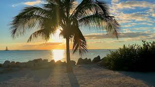 Sunrise, Barry Manilow, Cover by Wes66, A 143 Production