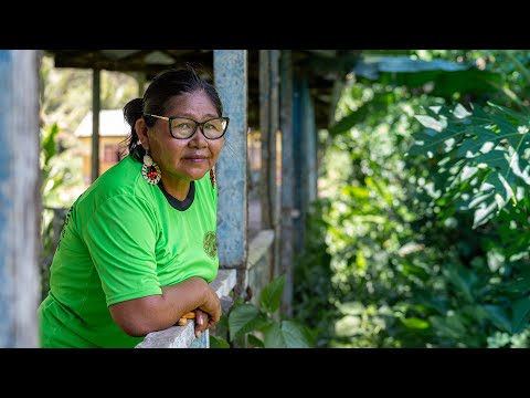 Mari Luz Canaquiri Murayari, 2025 Goldman Environmental Prize Winner, Peru