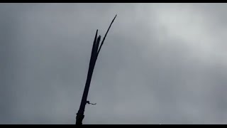 Lightning strikes Wellington's Zephyrometer in Evans Bay