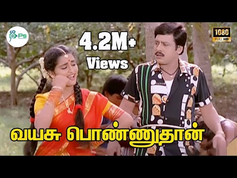 Vayasu Ponnuthan ||வயசு பொண்ணுதான் ||K.S.Chitra ||Love H D Song