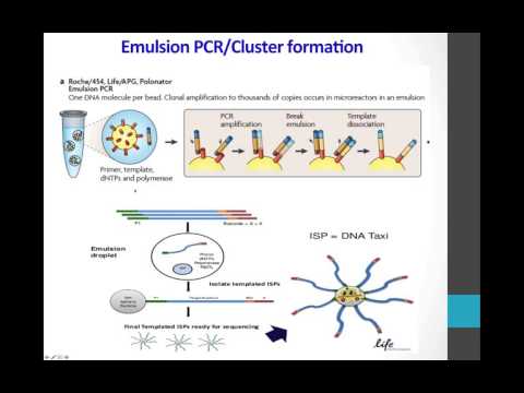 2016 04 27 12 01 Next Generation Sequencing NGS as a Clinical Tool  Platforms and Possibilities