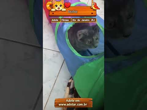 Vídeo de Sophia