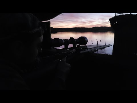 Cacce tradizionali in Francia con Sebastian (parte 1)