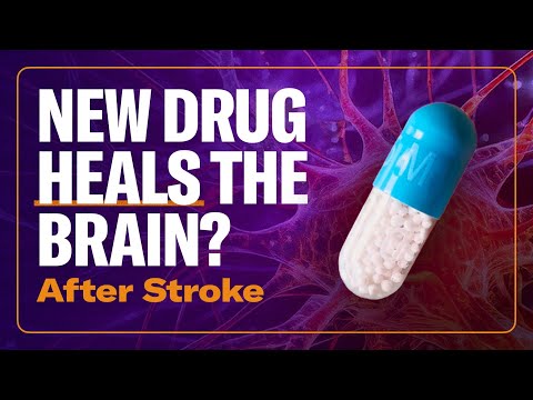 The First Stroke Rehab Drug Shown to Heal the Brain – New Study Explained