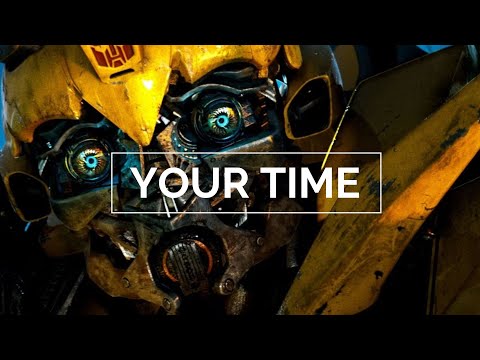 40 Years of Bumblebee
