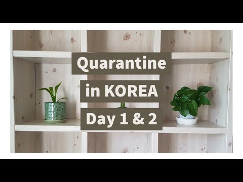 Quarantine in KOREA Day 1 & 2