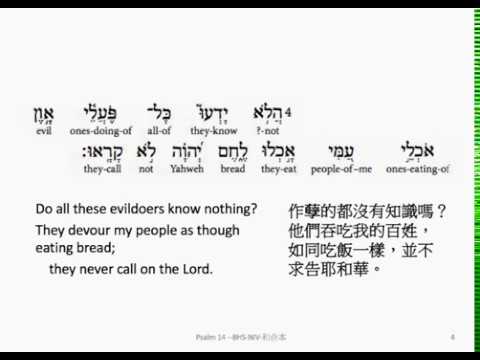 Psalm 14: Hebrew interlinear audio Bible 希伯來文聖經:詩篇第十四篇
