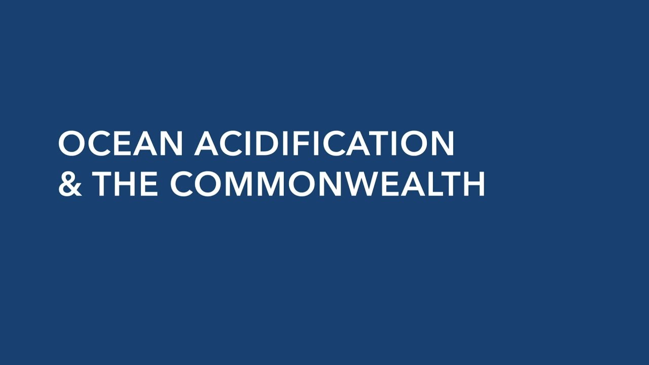 OA & Common wealth Blue Charter 2019