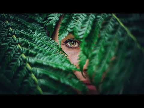 Funkermonk. - Don's Old Trumpet