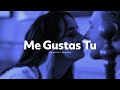 Manu Chao Me Gustas Tu Sped Up Reverb