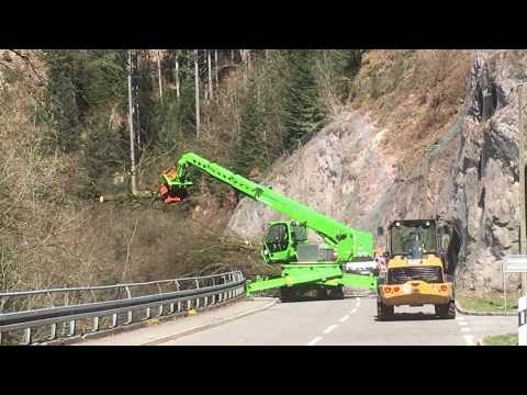 Baumfällarbeiten und Felssicherungsarbeiten im Bernecktal