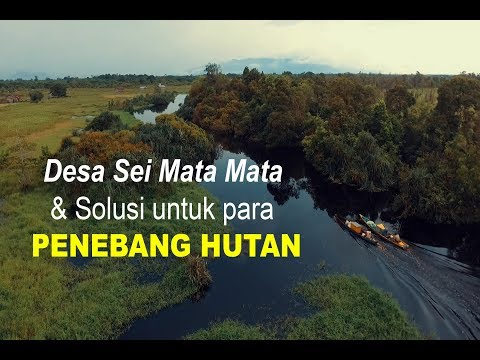 Film Dokumenter - PASAR untuk PENEBANG LIAR - Desa Sungai Mata Mata kalimantan barat