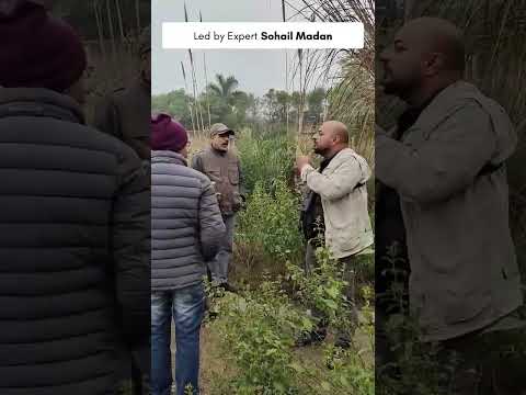 Living with Birds: Crafting Bird-Friendly Spaces