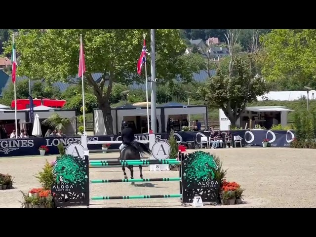 Half-brother of the mother of Porsche RV is the CSI 1.55m jumping stallion Pegase van't Ruytershof with rider Jeroen de Winter.