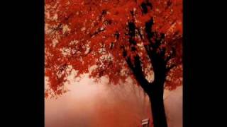 POR SIEMPREMENTE.. ♥♥♥