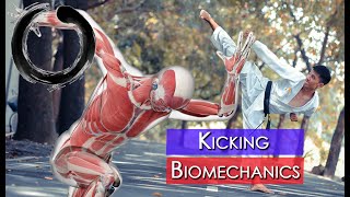 Kicking Biomechanics