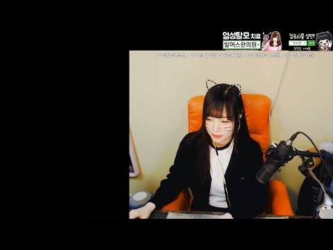 아이콘