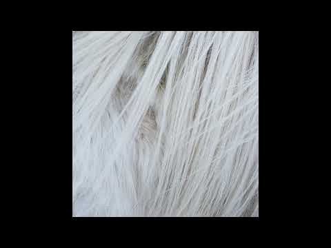 Shaded Explorer - Continuation Of Light (Mod21 Remix)