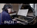 Bach - Fantasia and fugue in C minor BWV 906 - Suzuki | Netherlands Bach Society