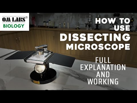 Senior dissecting microscope, 100x