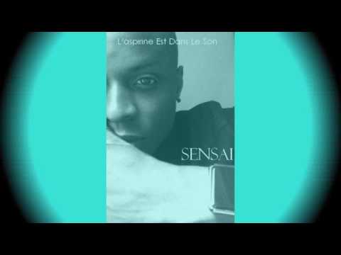 SENSAI - L'aspirine Est Dans Le Son (audio)