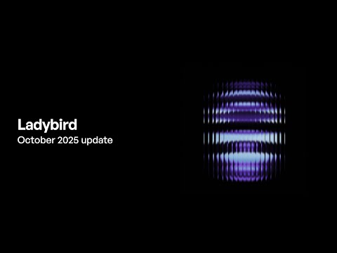 Ladybird browser update (October 2025)