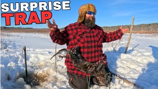 I Tried to Leave the Trapline… But Went Back
