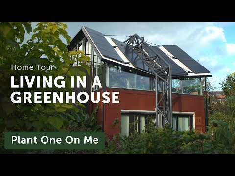 What's it Like to Live in a Greenhouse? Houseplant Home Tour — Ep 163