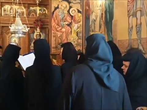 IATA DOMNUL IAR S A RASTIGNIT - MANASTIREA CLOCOCIOV