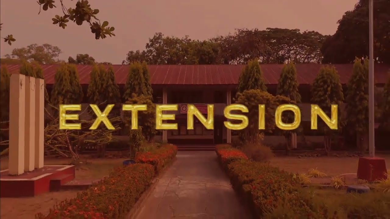 Extension Narrative